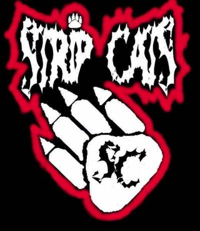 logo Strip Cats